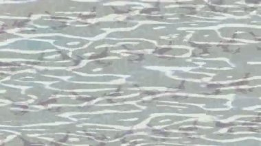 Dijital doku yüzey tasarım biçimi ile modern video animasyonu için gelişmiş hareket grafikleri