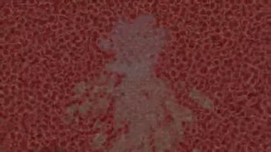 Lüks hareket tasarımı üst düzey video projeleri ve dijital sanat için zarif, pürüzsüz bir dokusu var.