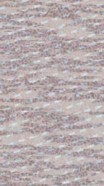 Soyut hareket desenli fütüristik video üretimi için dinamik dijital arkaplan