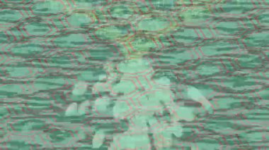 Lüks hareket tasarımı üst düzey video projeleri ve dijital sanat için zarif, pürüzsüz bir dokusu var.