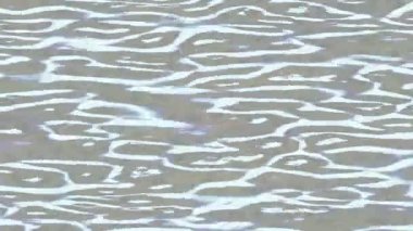 Yaratıcı video düzenleme film arkaplan tasarımı için minimalist organik hareket grafikleri