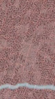 Estetik doku arkaplan tasarımı renkli hareket grafikleri ile moda film giriş profosyoneli