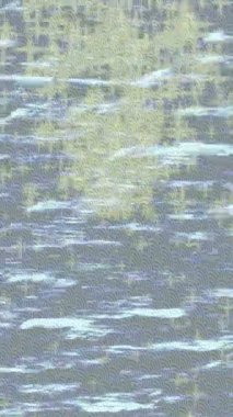 Yaratıcı video düzenleme film tasarımı için benzersiz hareket grafikleri biçimi giriş hareketi video pro