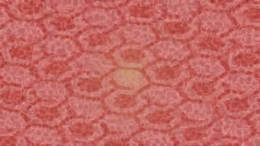 Profesyonel video projeleri sanat tarzı için organik hareketli arkaplan tasarımı