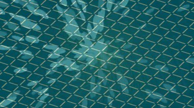 Dijital doku yüzey tasarım biçimi ile modern video animasyonu için gelişmiş hareket grafikleri