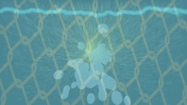 Benzersiz dijital hareket grafiklerine sahip yaratıcı sinematik projeler için yumuşak animasyon yüzeyi