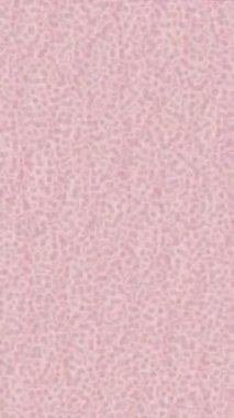 Yaratıcı video düzenleme film tasarımı için benzersiz hareket grafikleri biçimi giriş hareketi video pro