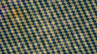 Benzersiz dijital hareket grafiklerine sahip yaratıcı sinematik projeler için yumuşak animasyon yüzeyi