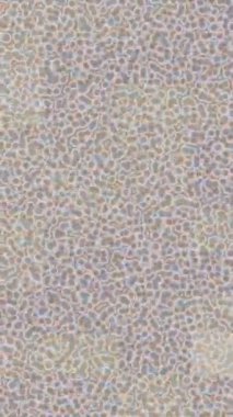 Benzersiz video giriş tasarımı projeleri için detaylı yüzey kalıbı film animasyon stili grafik girişi