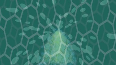 Lüks hareket tasarımı üst düzey video projeleri ve dijital sanat için zarif, pürüzsüz bir dokusu var.