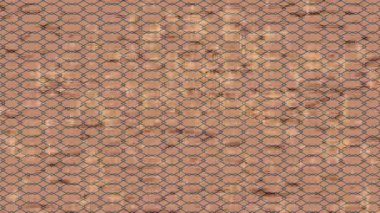 Organik desenli yüzey giriş stili video film sanatı ile soyut arkaplan tasarımı