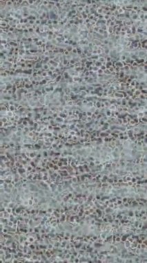 Estetik doku arkaplan tasarımı renkli hareket grafikleri ile moda film giriş profosyoneli