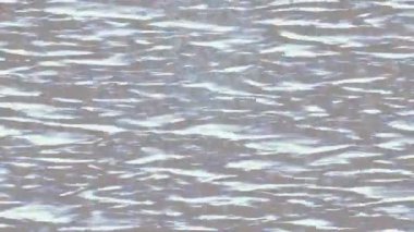 Profesyonel video projeleri sanat tarzı için organik hareketli arkaplan tasarımı