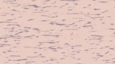 Benzersiz hareket grafikleri tasarım sanatına sahip yaratıcı film üretimi için özet bir arkaplan