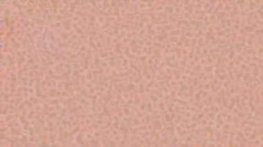 Benzersiz dijital hareket grafiklerine sahip yaratıcı sinematik projeler için yumuşak animasyon yüzeyi