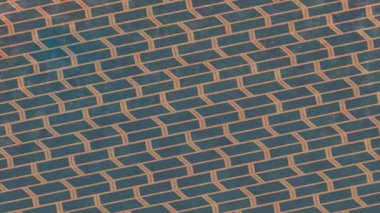 Profesyonel video projeleri sanat tarzı için organik hareketli arkaplan tasarımı