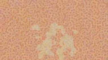 Benzersiz dijital animasyon tarzı grafikleri olan yaratıcı ortam tasarımı için yenilikçi hareket dokusu