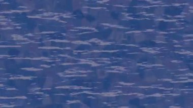 Profesyonel video projeleri sanat tarzı için organik hareketli arkaplan tasarımı