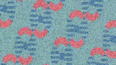 Dijital doku yüzey tasarım biçimi ile modern video animasyonu için gelişmiş hareket grafikleri