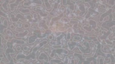 Lüks hareket tasarımı üst düzey video projeleri ve dijital sanat için zarif, pürüzsüz bir dokusu var.