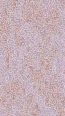 Lüks hareket projeleri için soyut tasarım stili animasyonu olan üst düzey dijital doku