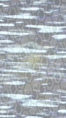 Benzersiz dijital animasyon tarzı grafikleri olan yaratıcı ortam tasarımı için yenilikçi hareket dokusu