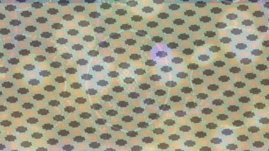 Lüks hareket tasarımı üst düzey video projeleri ve dijital sanat için zarif, pürüzsüz bir dokusu var.