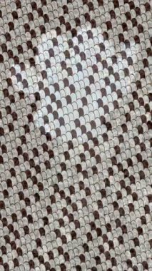 Benzersiz dijital hareket grafiklerine sahip yaratıcı sinematik projeler için yumuşak animasyon yüzeyi