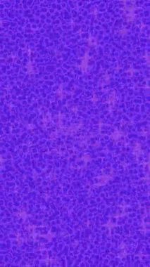 Yaratıcı video düzenleme film arkaplan tasarımı için minimalist organik hareket grafikleri