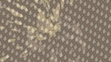 Benzersiz dijital hareket grafiklerine sahip yaratıcı sinematik projeler için yumuşak animasyon yüzeyi