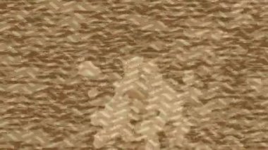 Organik desenli yüzey giriş stili video film sanatı ile soyut arkaplan tasarımı