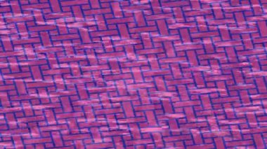 Soyut hareket desenli fütüristik video üretimi için dinamik dijital arkaplan