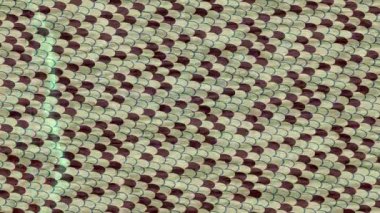 Benzersiz hareket grafikleri tasarım sanatına sahip yaratıcı film üretimi için özet bir arkaplan