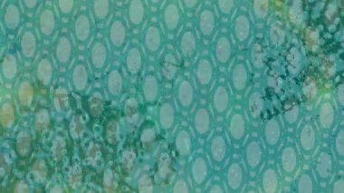 Benzersiz dijital animasyon tarzı grafikleri olan yaratıcı ortam tasarımı için yenilikçi hareket dokusu