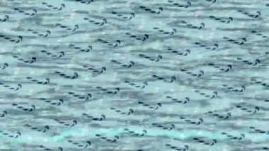 Benzersiz hareket grafikleri tasarım sanatına sahip yaratıcı film üretimi için özet bir arkaplan