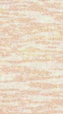 Benzersiz video giriş tasarımı projeleri için detaylı yüzey kalıbı film animasyon stili grafik girişi