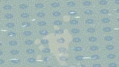 Estetik doku arkaplan tasarımı renkli hareket grafikleri ile moda film giriş profosyoneli