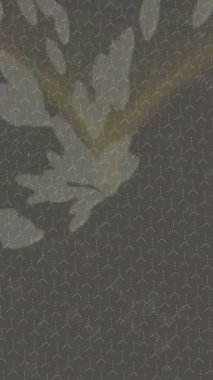 Benzersiz video giriş tasarımı projeleri için detaylı yüzey kalıbı film animasyon stili grafik girişi