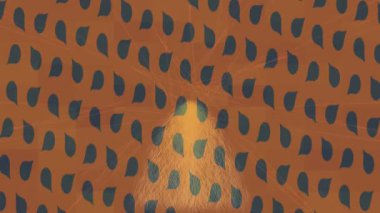 Yaratıcı video düzenleme film arkaplan tasarımı için minimalist organik hareket grafikleri