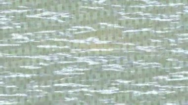 Yaratıcı video düzenleme film tasarımı için benzersiz hareket grafikleri biçimi giriş hareketi video pro