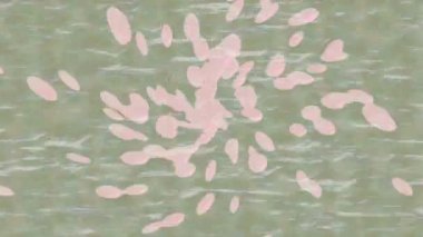 Benzersiz video giriş tasarımı projeleri için detaylı yüzey kalıbı film animasyon stili grafik girişi