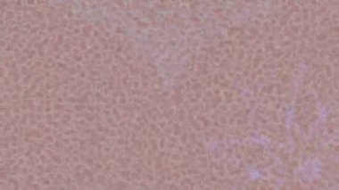 Yaratıcı video düzenleme film tasarımı için benzersiz hareket grafikleri biçimi giriş hareketi video pro