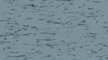 Yaratıcı video düzenleme film tasarımı için benzersiz hareket grafikleri biçimi giriş hareketi video pro