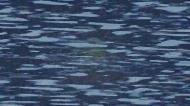 Yaratıcı video düzenleme film tasarımı için benzersiz hareket grafikleri biçimi giriş hareketi video pro