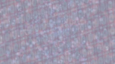 Soyut hareket desenli fütüristik video üretimi için dinamik dijital arkaplan