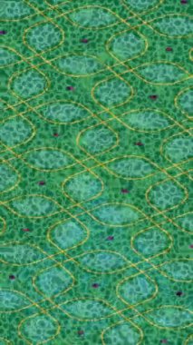 Dijital doku yüzey tasarım biçimi ile modern video animasyonu için gelişmiş hareket grafikleri