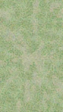 Yaratıcı video düzenleme film arkaplan tasarımı için minimalist organik hareket grafikleri