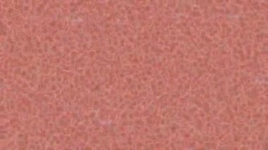 Yaratıcı video düzenleme film tasarımı için benzersiz hareket grafikleri biçimi giriş hareketi video pro