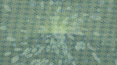 Yaratıcı video düzenleme film arkaplan tasarımı için minimalist organik hareket grafikleri