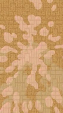 Benzersiz dijital hareket grafiklerine sahip yaratıcı sinematik projeler için yumuşak animasyon yüzeyi